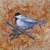 'Chickadee 1'  6"x6"x1" Acrylic and tissue paper on gallery wrapped canvas.  $50