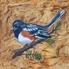 "Rufus-sided Towhee" 6"x6"x1.5" Acrylic on gallery wrapped canvas with painted sides.  $50